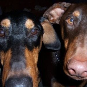 Meet your Posher, Debra